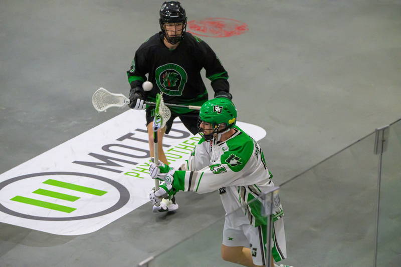 Victoria Shamrocks