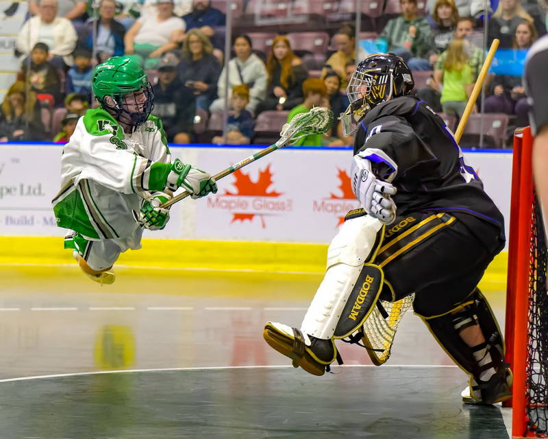 Victoria Shamrocks