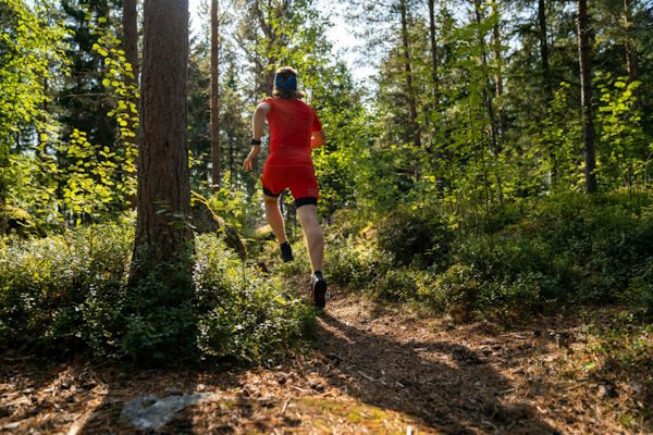 Trail running in pine forest