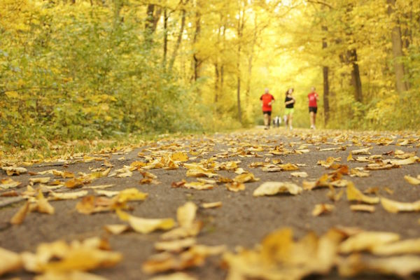 Trail running in the fall