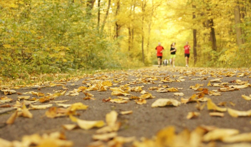Group of runners running on a leaf coffered trail
